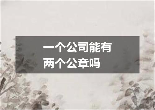 一个公司能有两个公章吗