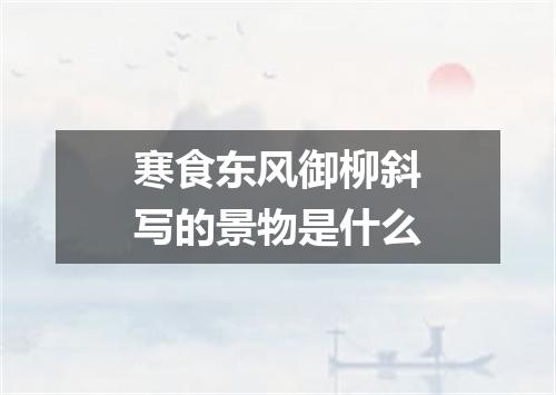 寒食东风御柳斜写的景物是什么