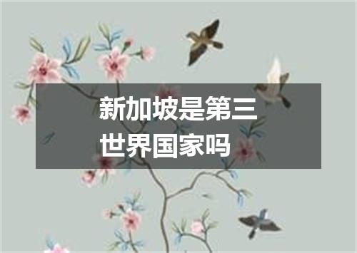 新加坡是第三世界国家吗