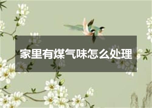 家里有煤气味怎么处理