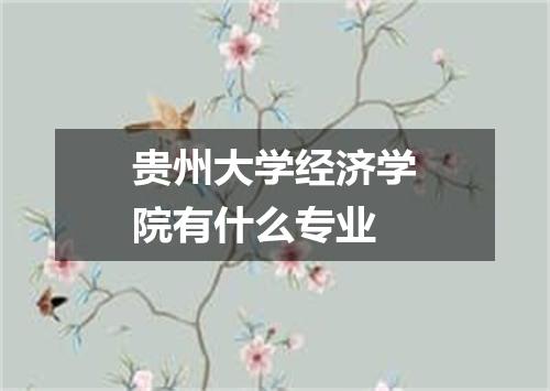 贵州大学经济学院有什么专业