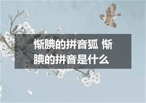 惭腆的拼音狐 惭腆的拼音是什么