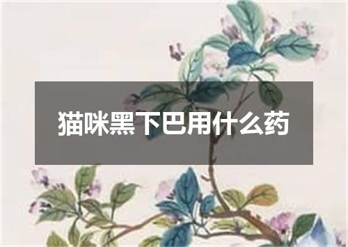 猫咪黑下巴用什么药