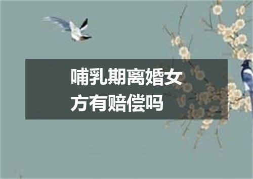 哺乳期离婚女方有赔偿吗