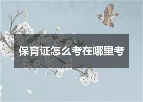 保育证怎么考在哪里考