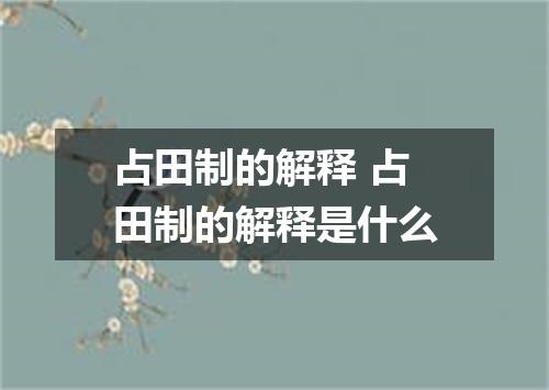 占田制的解释 占田制的解释是什么