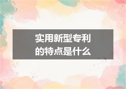 实用新型专利的特点是什么
