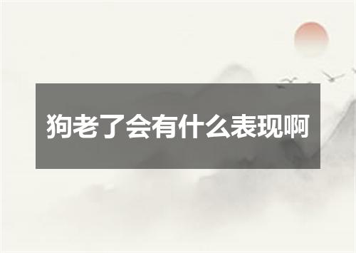 狗老了会有什么表现啊