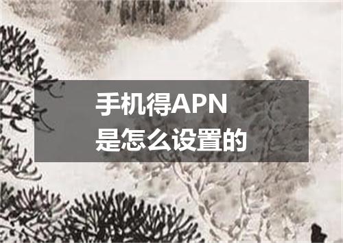 手机得APN是怎么设置的