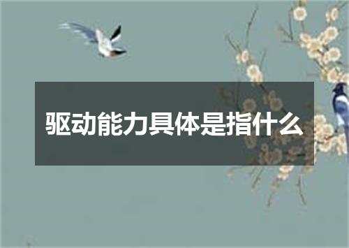 驱动能力具体是指什么