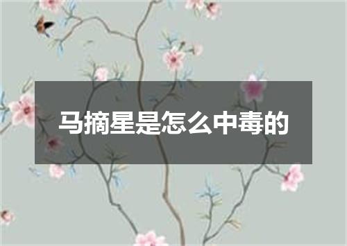 马摘星是怎么中毒的