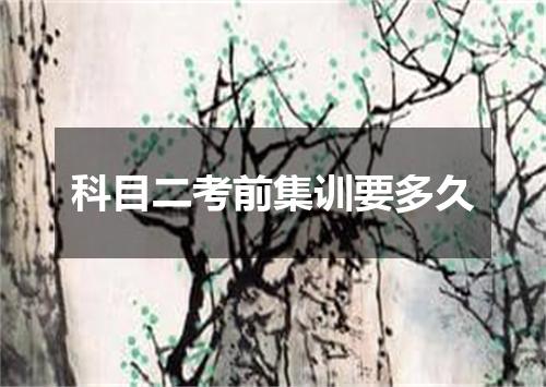 科目二考前集训要多久