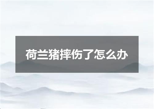 荷兰猪摔伤了怎么办