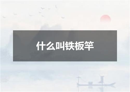 什么叫铁板竿