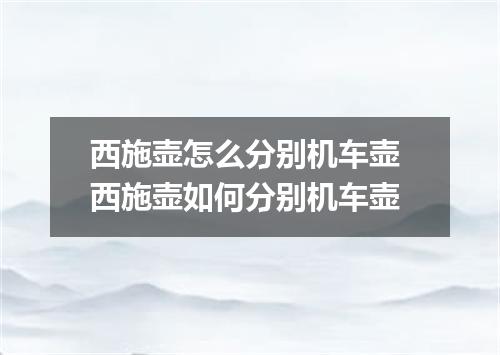 西施壶怎么分别机车壶 西施壶如何分别机车壶
