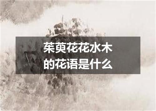 茱萸花花水木的花语是什么