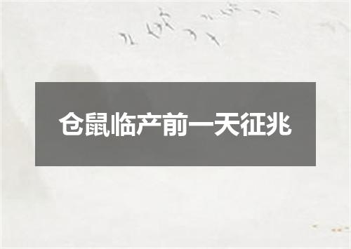 仓鼠临产前一天征兆