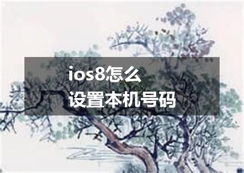 ios8怎么设置本机号码