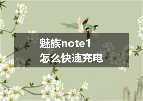 魅族note1怎么快速充电
