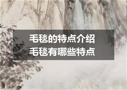 毛毯的特点介绍 毛毯有哪些特点