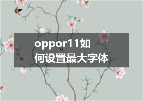 oppor11如何设置最大字体