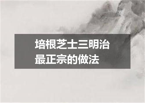 培根芝士三明治最正宗的做法