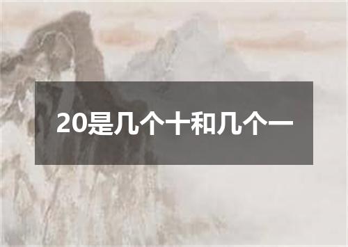 20是几个十和几个一
