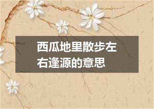 西瓜地里散步左右逢源的意思