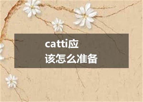 catti应该怎么准备