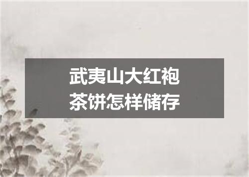 武夷山大红袍茶饼怎样储存