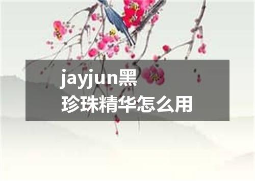 jayjun黑珍珠精华怎么用