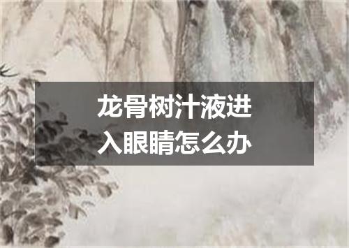 龙骨树汁液进入眼睛怎么办