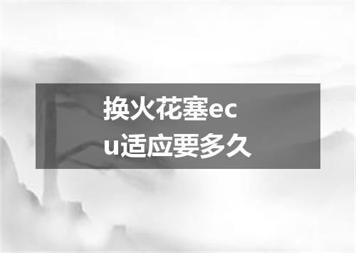 换火花塞ecu适应要多久