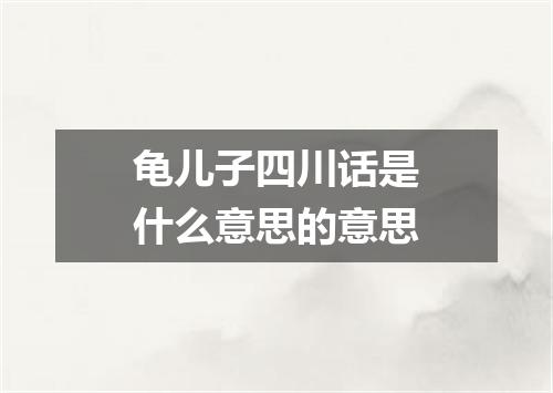 龟儿子四川话是什么意思的意思