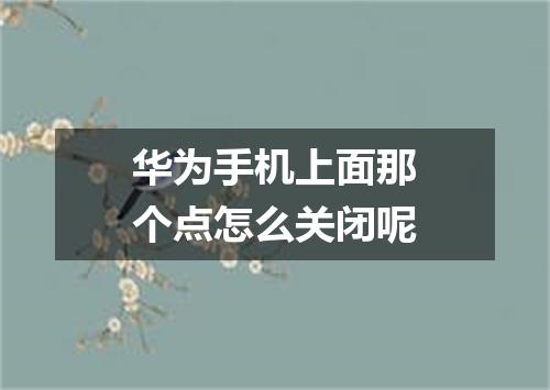 华为手机上面那个点怎么关闭呢
