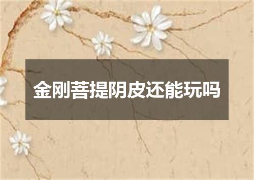 金刚菩提阴皮还能玩吗