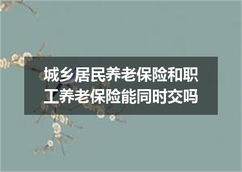 城乡居民养老保险和职工养老保险能同时交吗