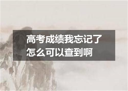 高考成绩我忘记了怎么可以查到啊