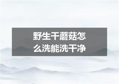 野生干蘑菇怎么洗能洗干净