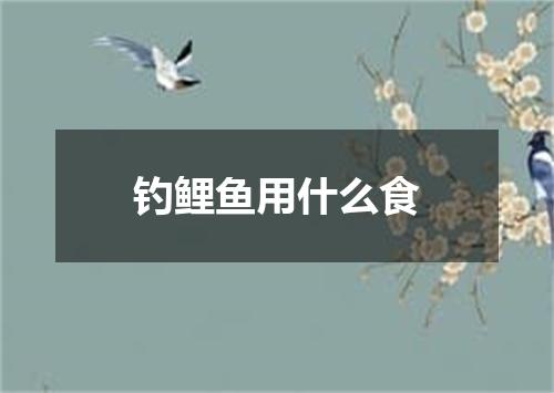 钓鲤鱼用什么食