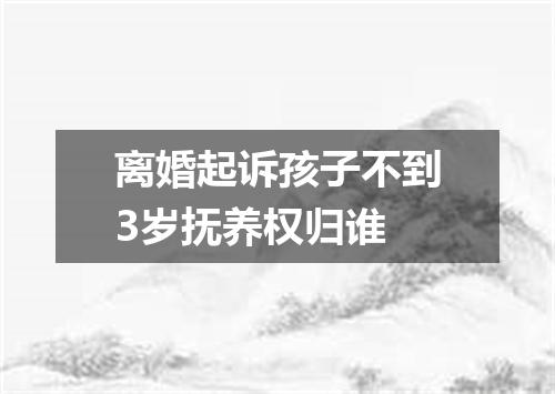 离婚起诉孩子不到3岁抚养权归谁