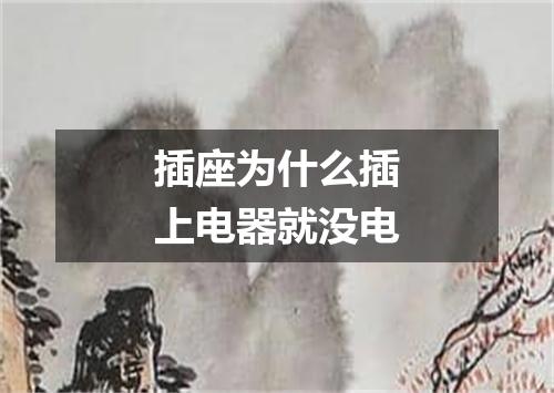 插座为什么插上电器就没电