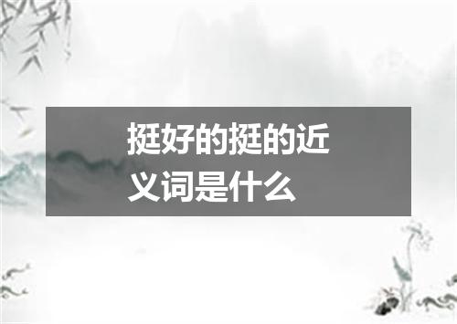 挺好的挺的近义词是什么