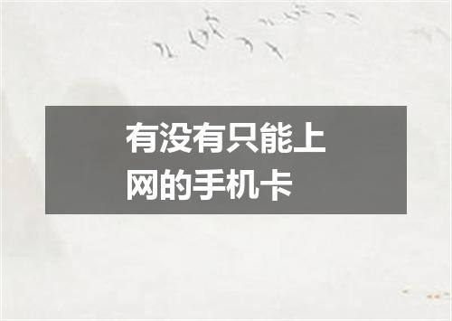 有没有只能上网的手机卡