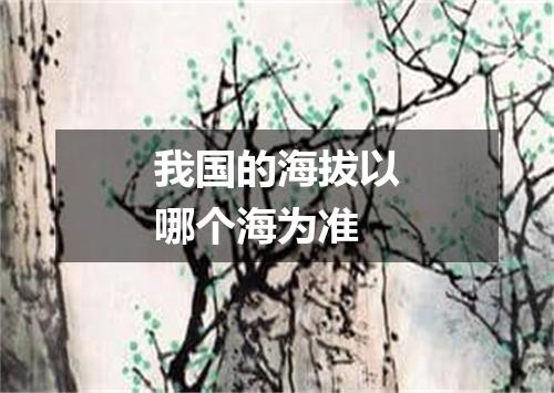 我国的海拔以哪个海为准