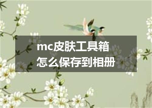 mc皮肤工具箱怎么保存到相册