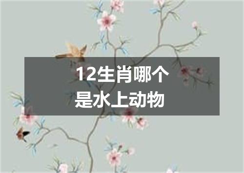 12生肖哪个是水上动物