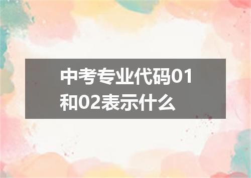 中考专业代码01和02表示什么