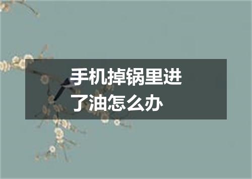 手机掉锅里进了油怎么办