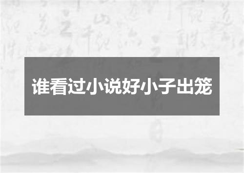 谁看过小说好小子出笼